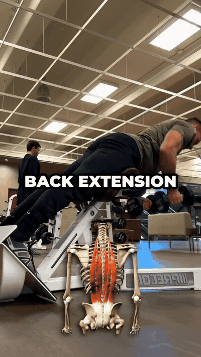 I made back extension my new bench press.