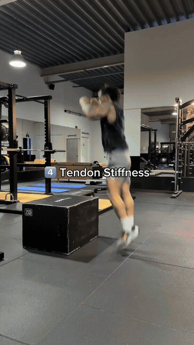 Tendon Stiffness