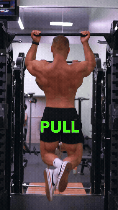 The back. The only right answer is the pull-up. There's really nothing