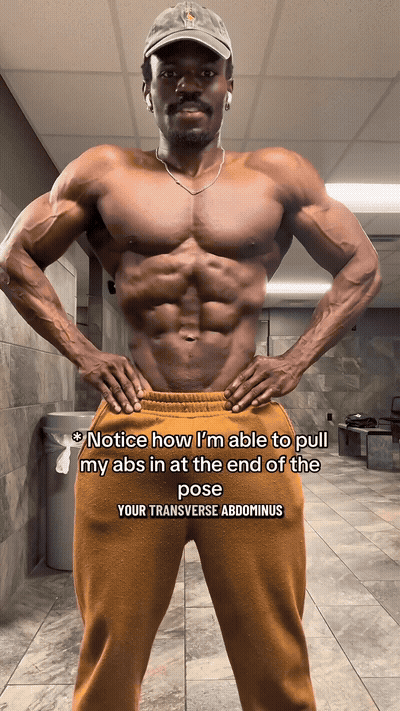 Your transverse abdominis is the deepest part of your core muscle. It'