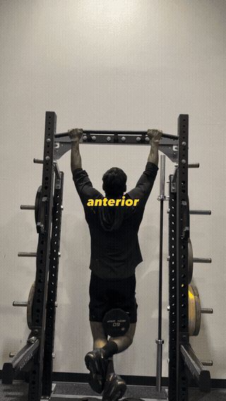 Kneeling Cable Oblique Pull
