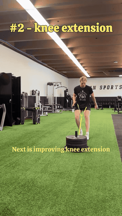 Reverse Sled Pull