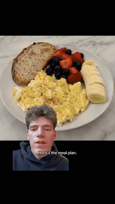 The Meal Plan