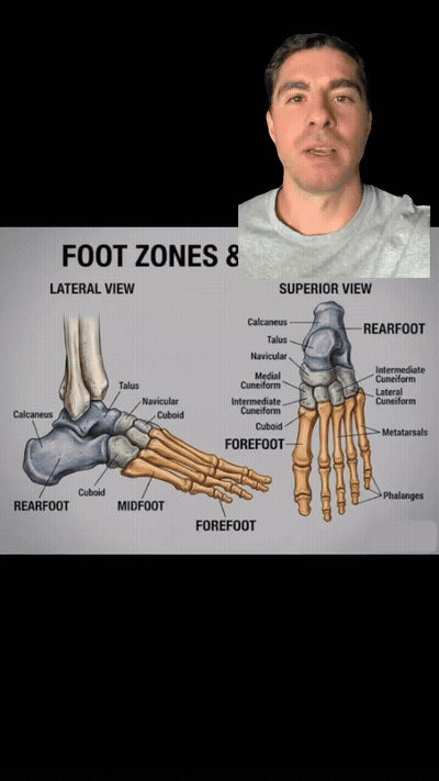 Sealed Foot — Active Ground Contact