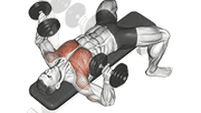 30-Min Gym Upper Body — Chest · Lats · Shoulders
