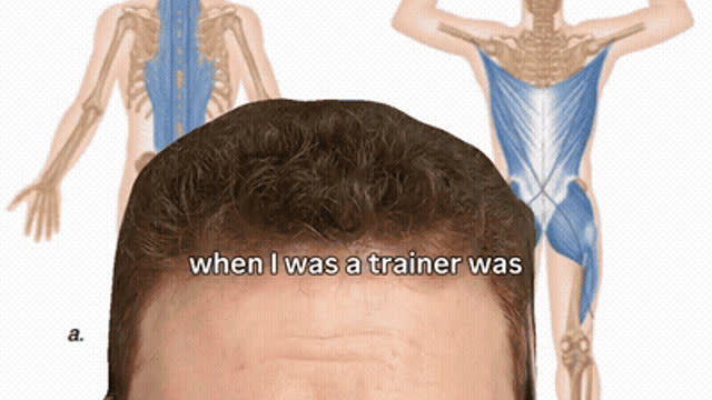 ** Lower back / posterior chain training