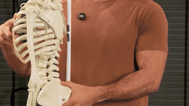 Pooch Belly Fix — Chair-Assisted 90/90 Posterior-Tilt Breathing