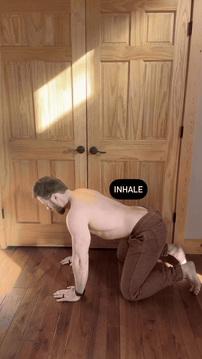 Repeat, pairing each rep to the breath