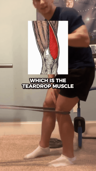 Which the tear drop muscle right above your knee care.
